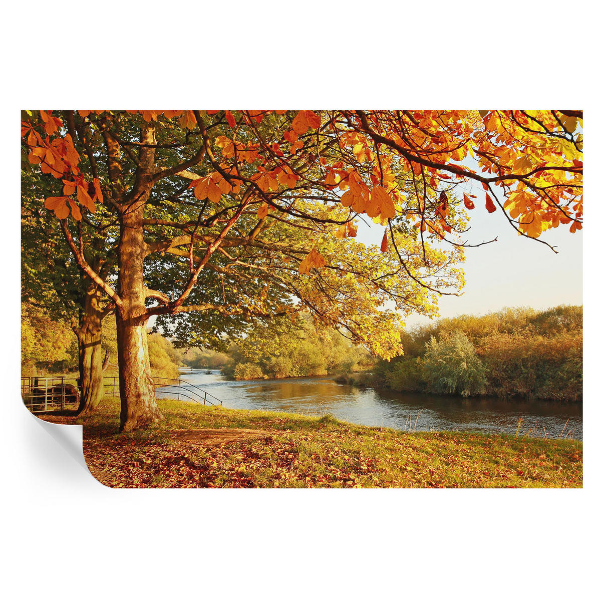 FOTOTAPETE 104x70 cm - Küstenherbst - Gelb, Textil (104/70cm) - Wallfluent