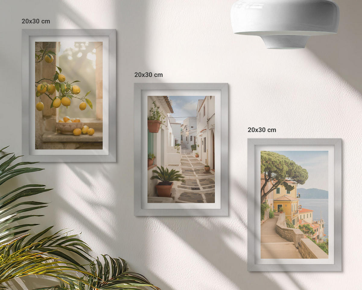 WANDBILDER 3er Set - 20x30 cm Silberner Rahmen - Blick aus dem Fenster auf einen Zitrusbaum - Silberfarben, Kunststoff (20/30cm) - ArtPrintCave