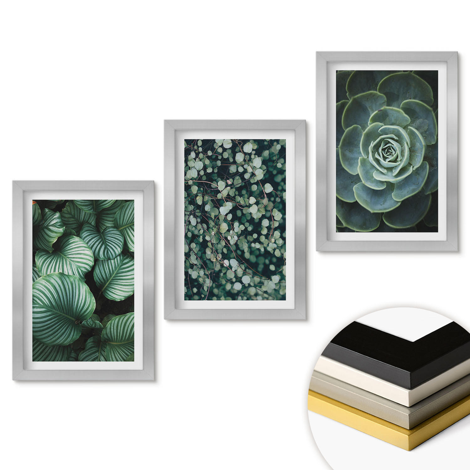 WANDBILDER 3er Set - 20x30 cm Silberner Rahmen - Sukkulenten im Stil grüner Blätter - Silberfarben, Kunststoff (20/30cm) - ArtPrintCave