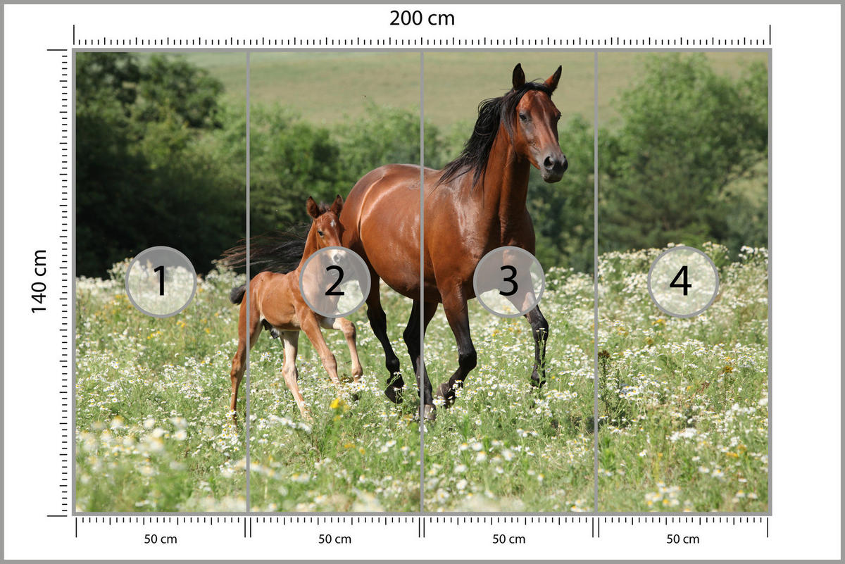 FOTOTAPETE Pferde Lichtung Pflanzen Natur 200x140 - Beige/Schwarz, Papier (200/140cm) - Muralo