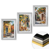 WANDBILDER 3er Set - 20x30 cm Silberner Rahmen - Zitrusfrüchte im Garten - Silberfarben, Kunststoff (20/30cm) - ArtPrintCave