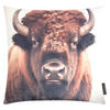KISSENHÜLLE Wild Animals Bison - Braun, Textil (45/45cm) - Magma Heimtexx