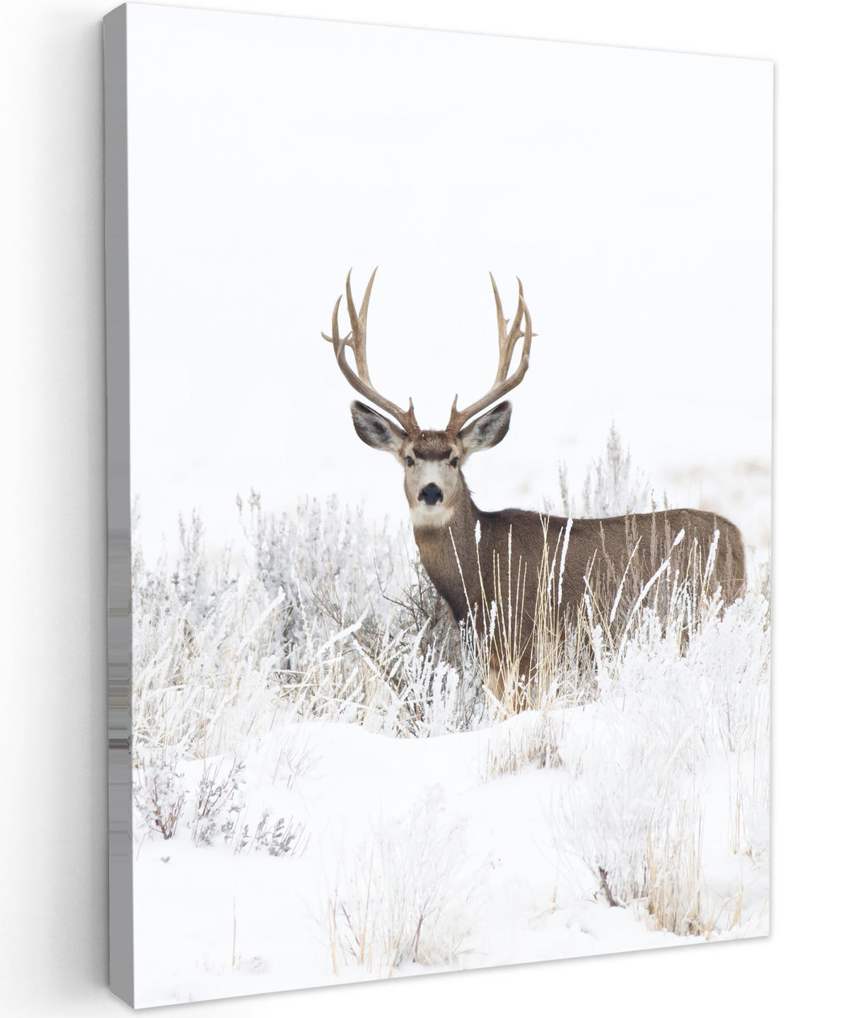 LEINWANDBILD Hirsche - Winter - Schnee - Tiere - Jahreszeiten - Weiß 60x80 cm - Hellbraun, Textil (60/80cm) - MuchoWow