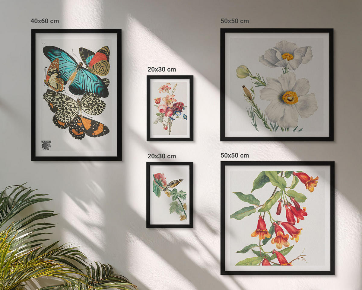 BILDER SET 5er Set - 50x50 cm & 20x30 cm & 40x60 cm Schwarzer Rahmen - Blumen, Schmetterlinge, Vögel, Pastellfarben - Schwarz, Kunststoff (40/60cm) - TULUP