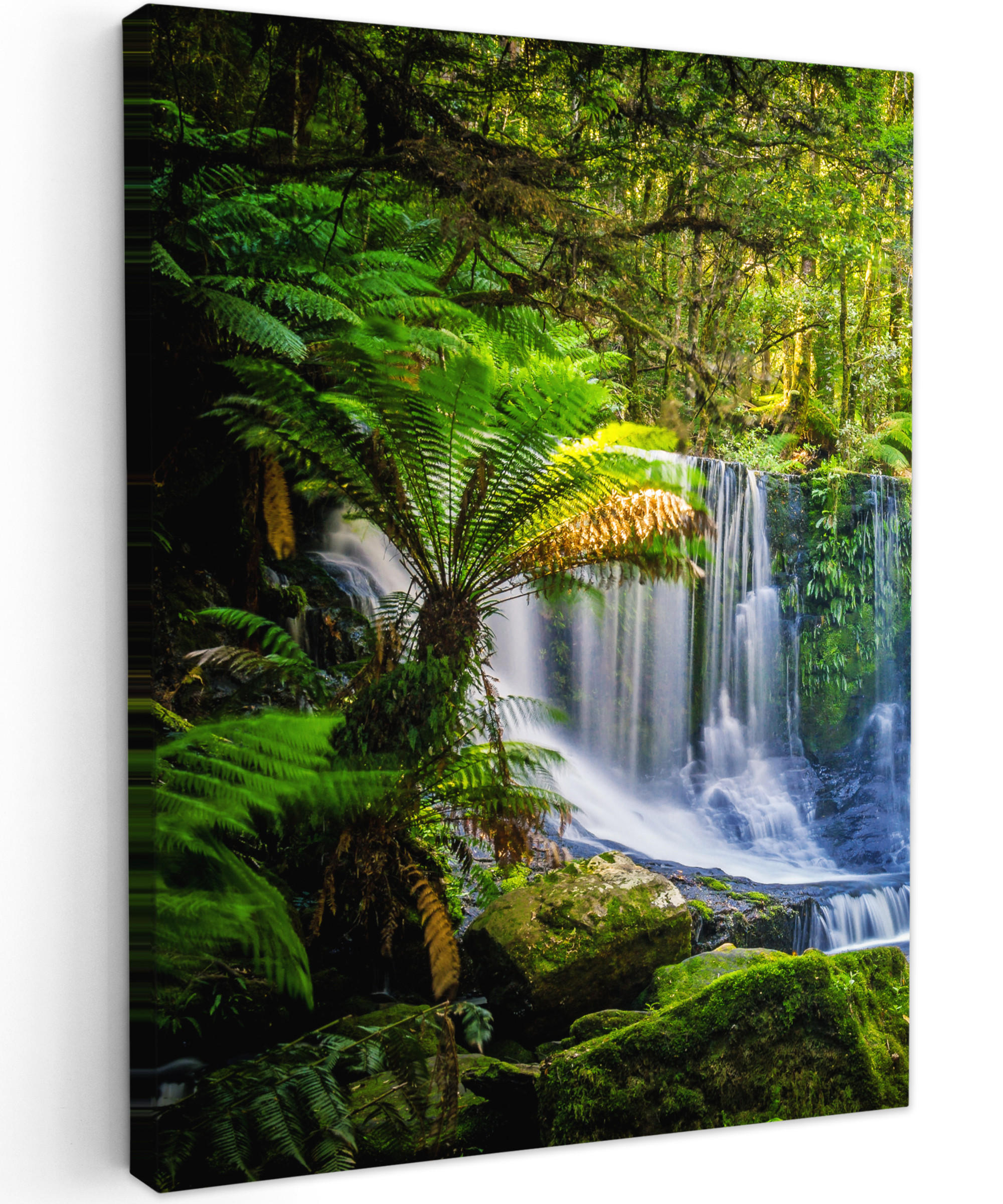 LEINWANDBILD Dschungel - Wasserfall - Australien - Pflanzen - Natur 30x40 cm - Dunkelgrün, Textil (30/40cm) - MuchoWow