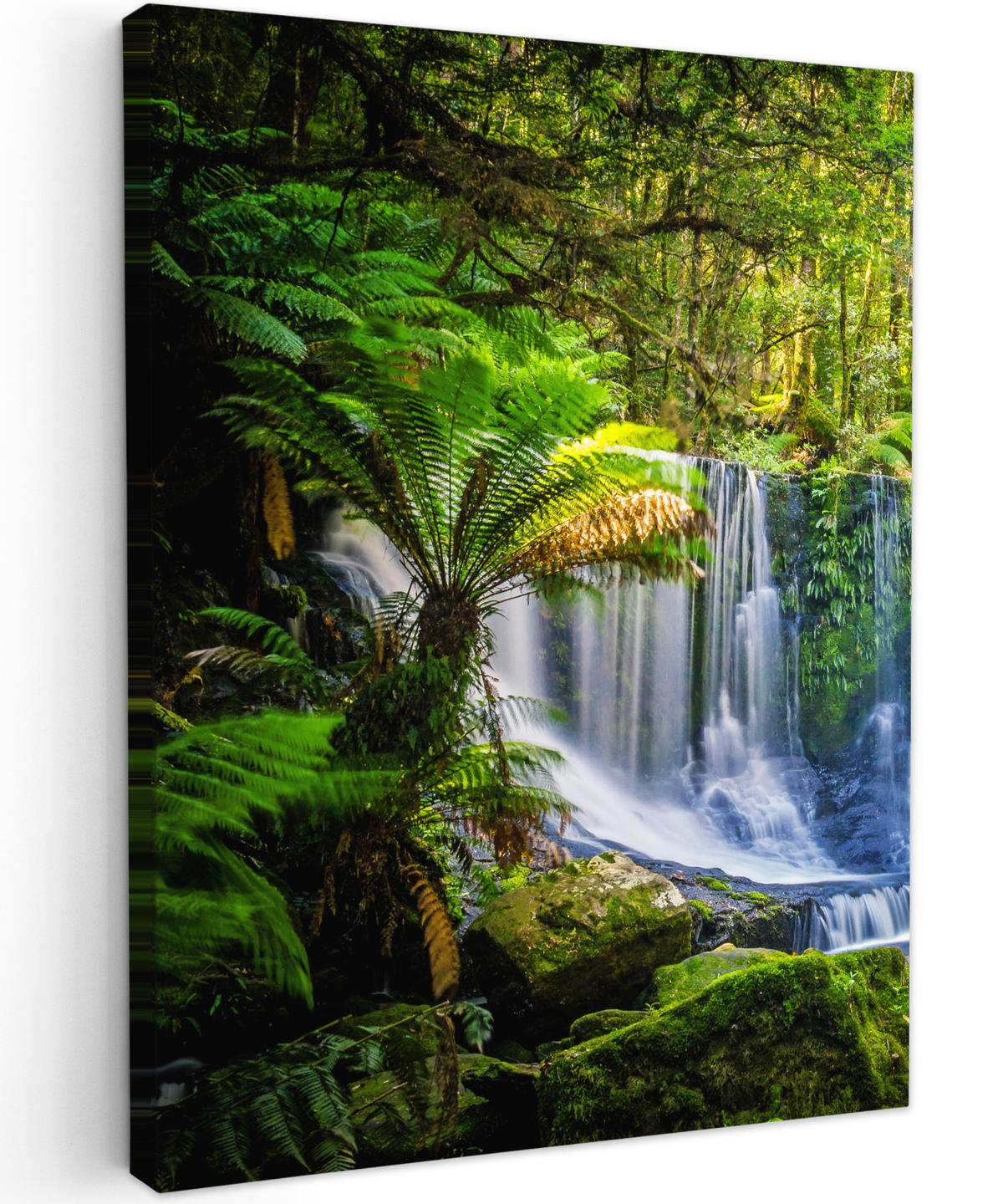 LEINWANDBILD Dschungel - Wasserfall - Australien - Pflanzen - Natur 30x40 cm - Dunkelgrün, Textil (30/40cm) - MuchoWow