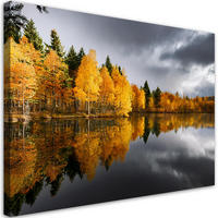 WANDBILD herbstwald am see - Gelb, Textil (60/40cm) - Feeby