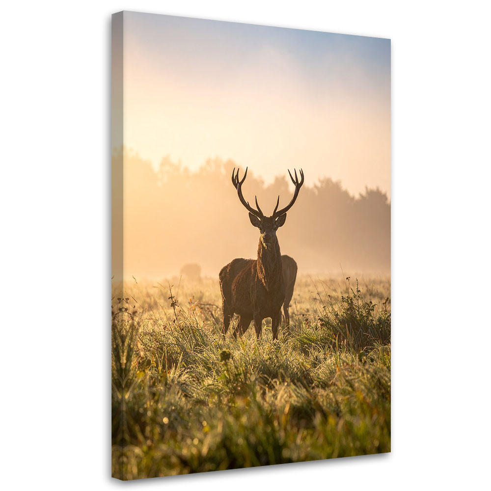 LEINWANDBILD Landschaft Hirsch auf der Brunft am Morgen 40x60cm - Beige, Textil (40/60cm) - Feeby