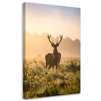 LEINWANDBILD Landschaft Hirsch auf der Brunft am Morgen 40x60cm - Beige, Textil (40/60cm) - Feeby
