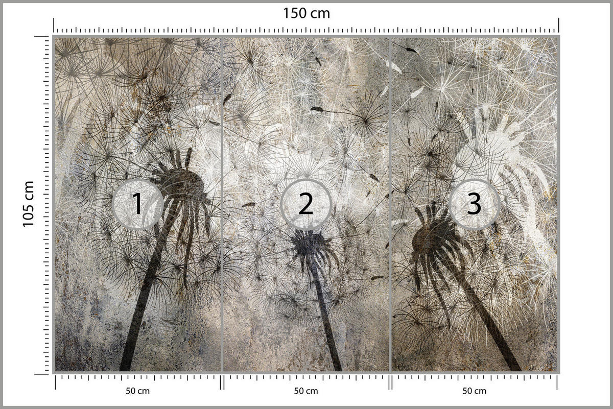 FOTOTAPETE Pusteblumen Beton Retro Stil 150x105 - Beige/Braun, Papier (150/105cm) - Muralo