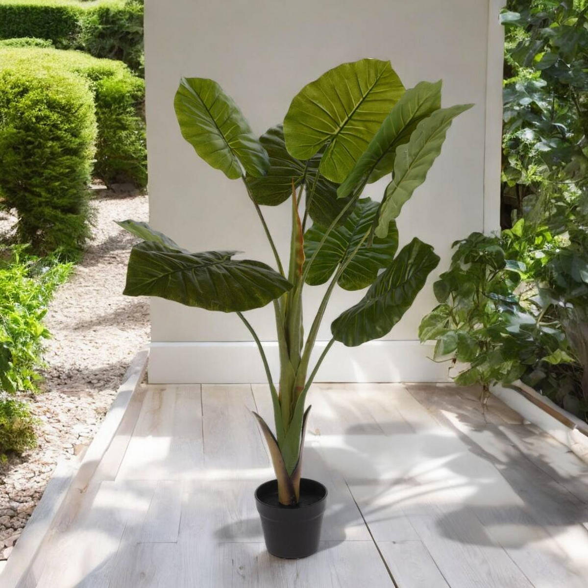 ZIMMERPFLANZE Alocasia Wentii 110 cm - Grün, Kunststoff (110cm)