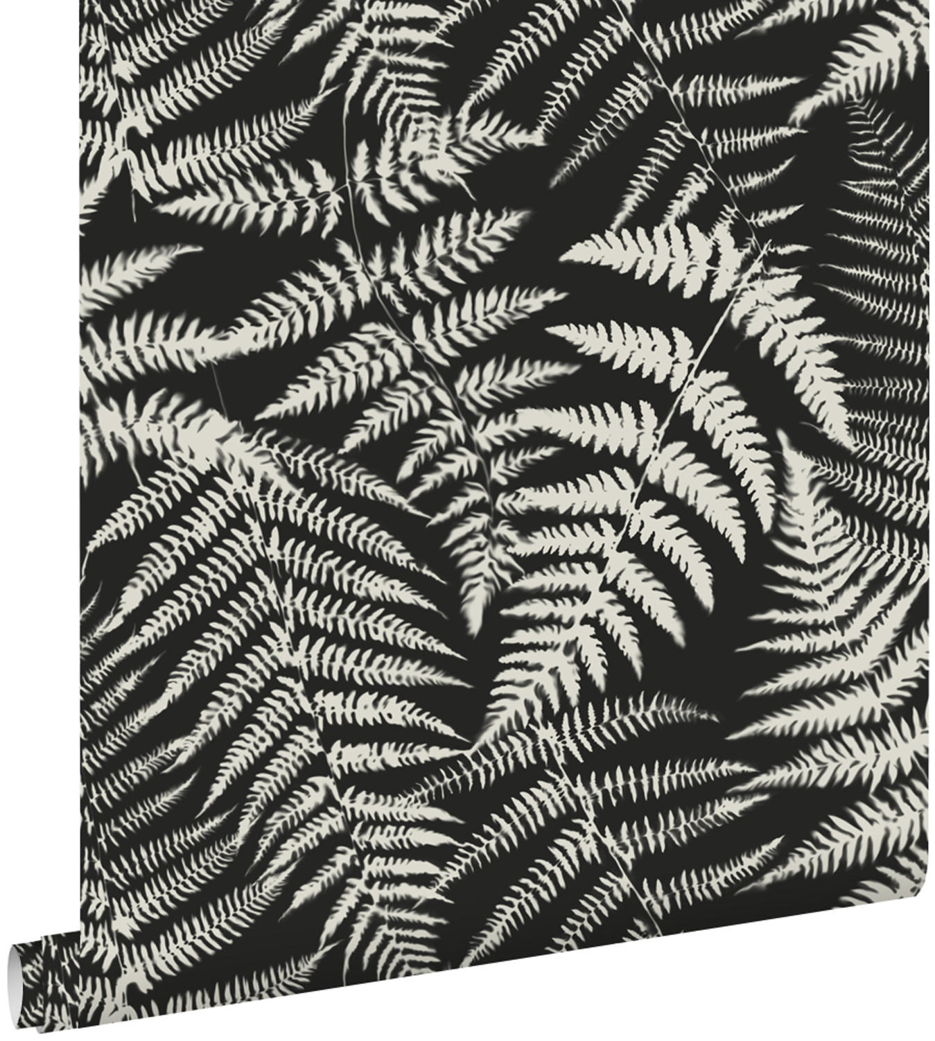 TAPETE Farne 53 cm x 10.05 m - Schwarz, Papier (53/1000cm) - ESTAhome