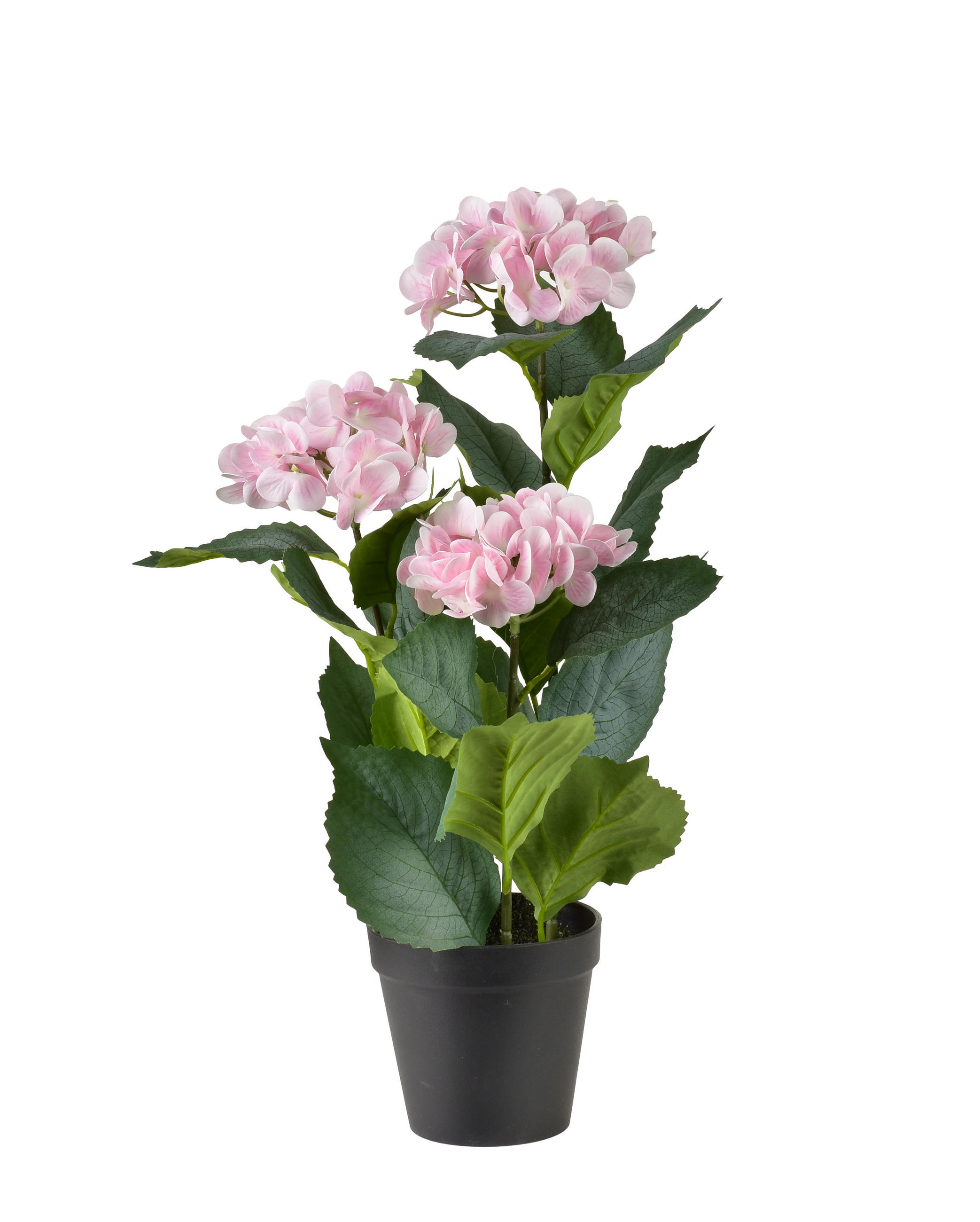 KUNSTBLUME Viridis Rosa 12,5x9x49 cm Kunststoff - Rosa, Kunststoff (49cm) - Mondex