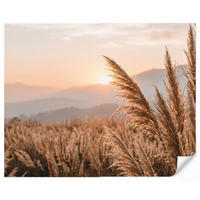 TAPETE - Gras - Feld - Sonne - Natur - 260x220 cm - Sandfarben, Papier (260/220cm) - OnlyWow