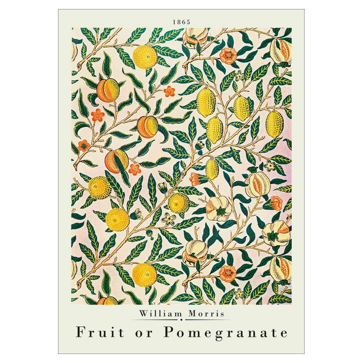 POSTER William Morris - Pomegranate - Multicolor, Papier (50/70/0.1cm) - Poster&Frame