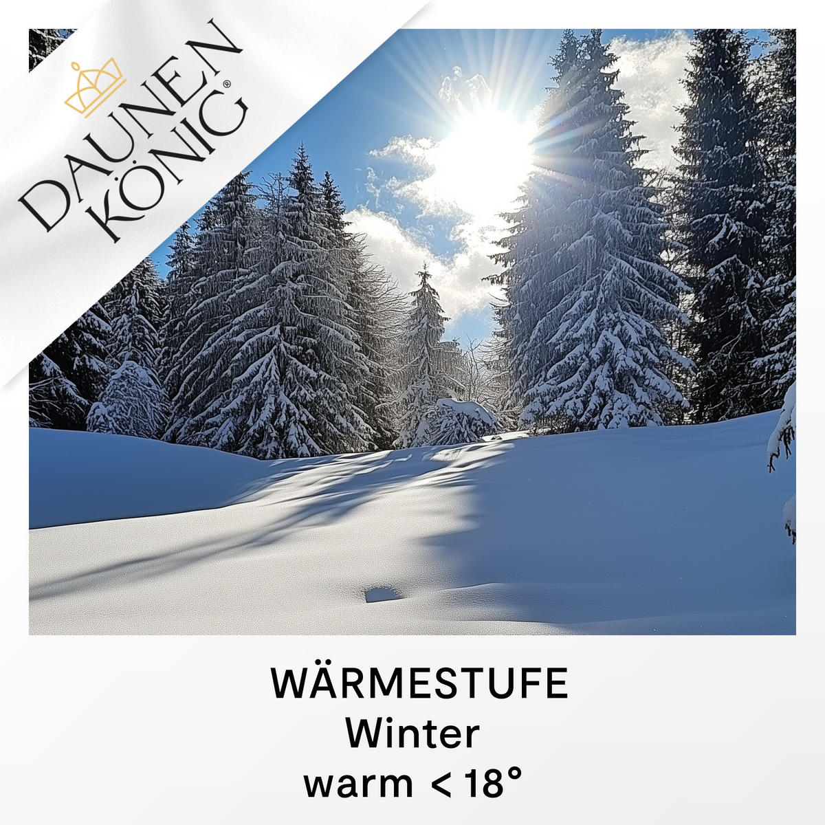 WINTERBETTDECKE ROYAL Gänsedaunen warm - Weiß, Naturmaterialien/Textil (240/220cm) - Daunenkönig
