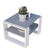 COUCHTISCH Kaja63 63/42/53,8 - Dunkelgrau/Weiß, Holzwerkstoff (54/63/42cm) - RAUMHIRSCH FURNITURE