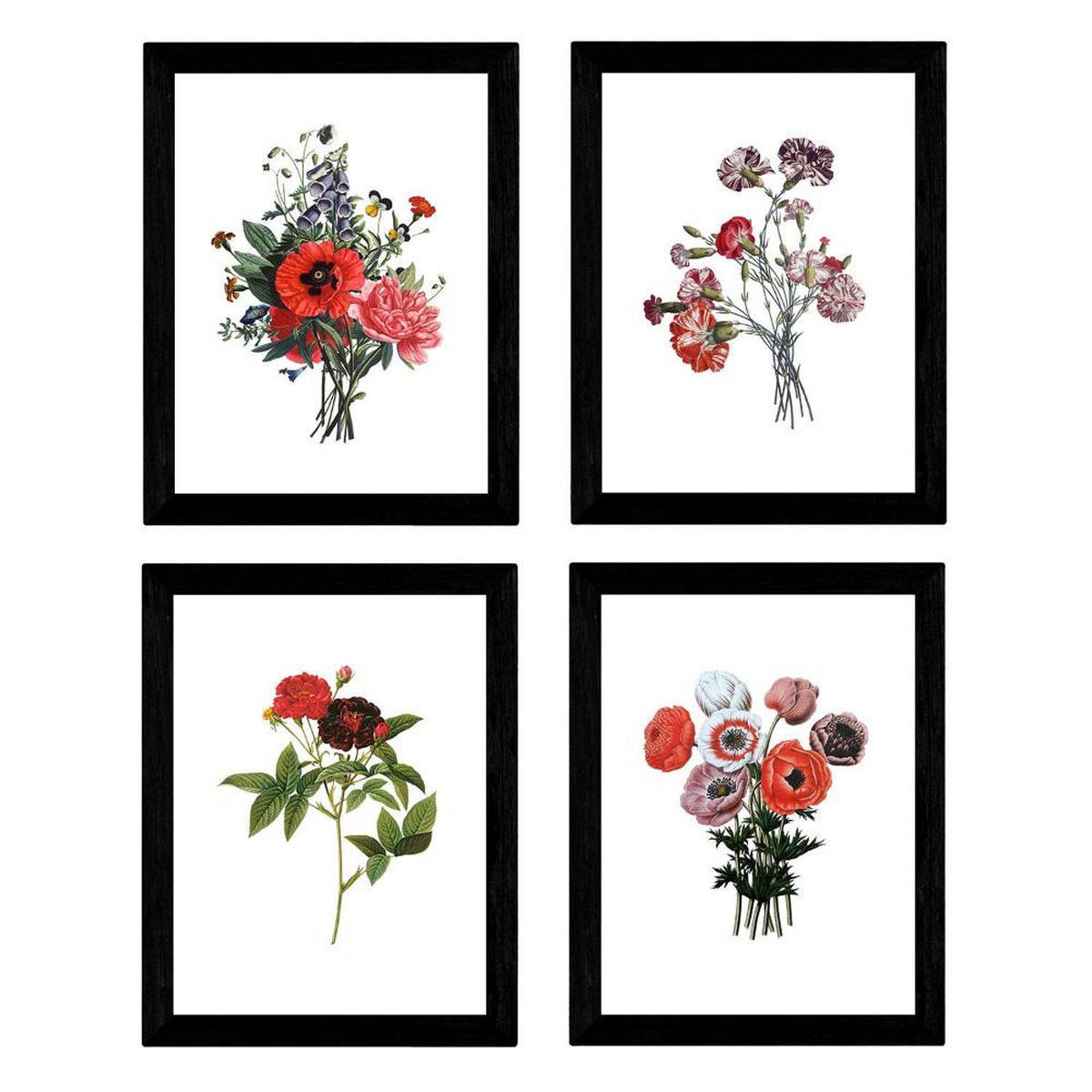 POSTER Set mit 4 Dunkelrot Botanischen Stil Weiß A3 Rahmenlos - Klar, Papier (29.7/3cm) - Nacnic