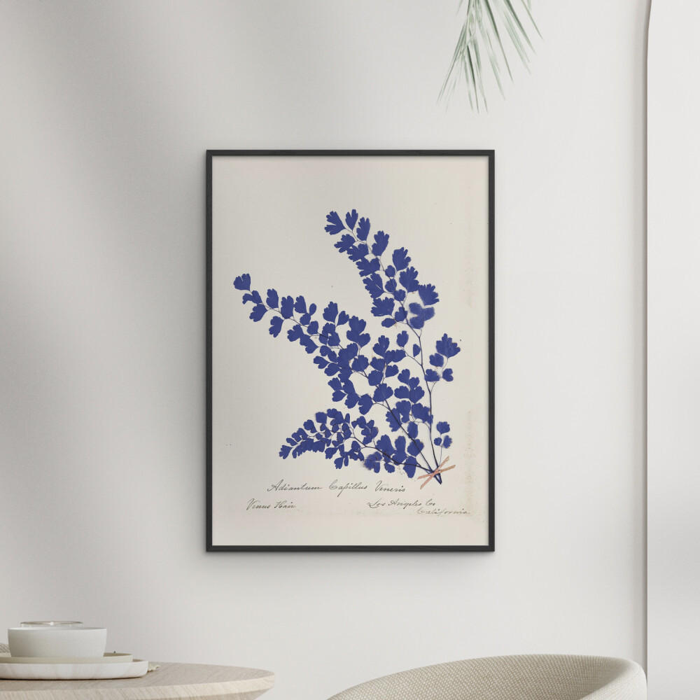 POSTER mit Rahmen Wild Apple - Botanical Fern III Blue - Blau/Schwarz, Holz/Papier (50/70cm) - Poster&Frame