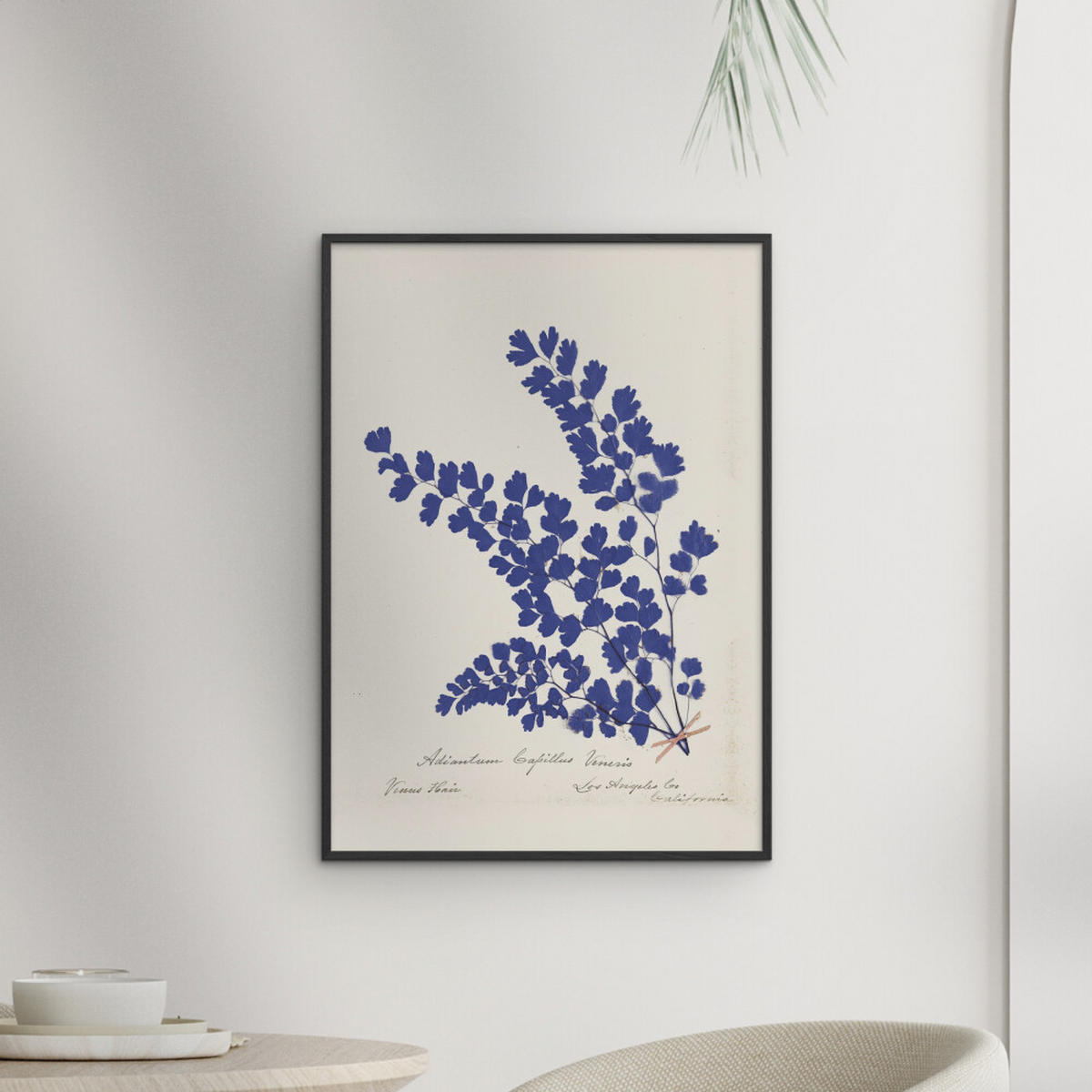 POSTER mit Rahmen Wild Apple - Botanical Fern III Blue - Blau/Schwarz, Holz/Papier (50/70cm) - Poster&Frame