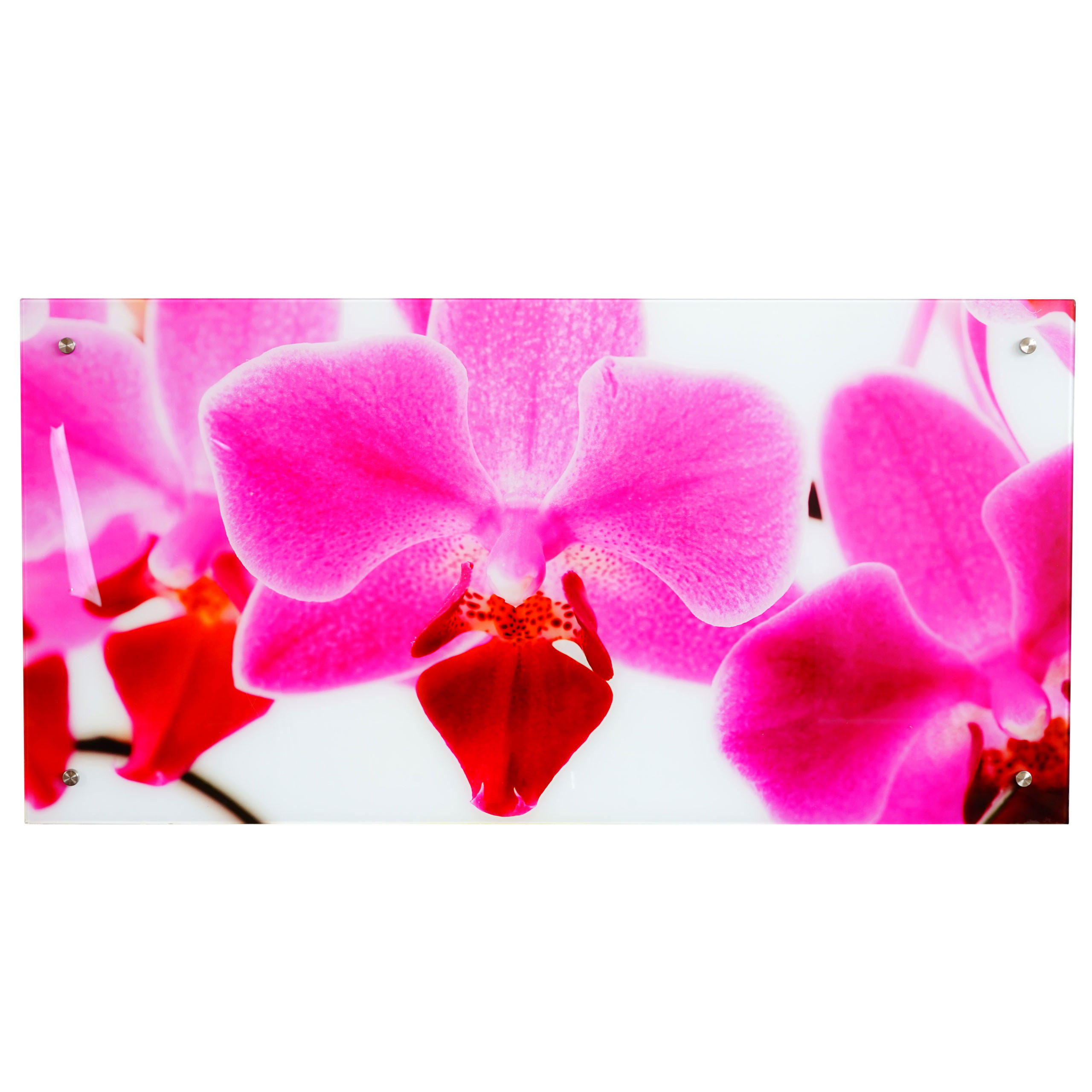 GLASBILD ORCHIDE Multicolor - Multicolor, Glas (100/50cm) - MCW