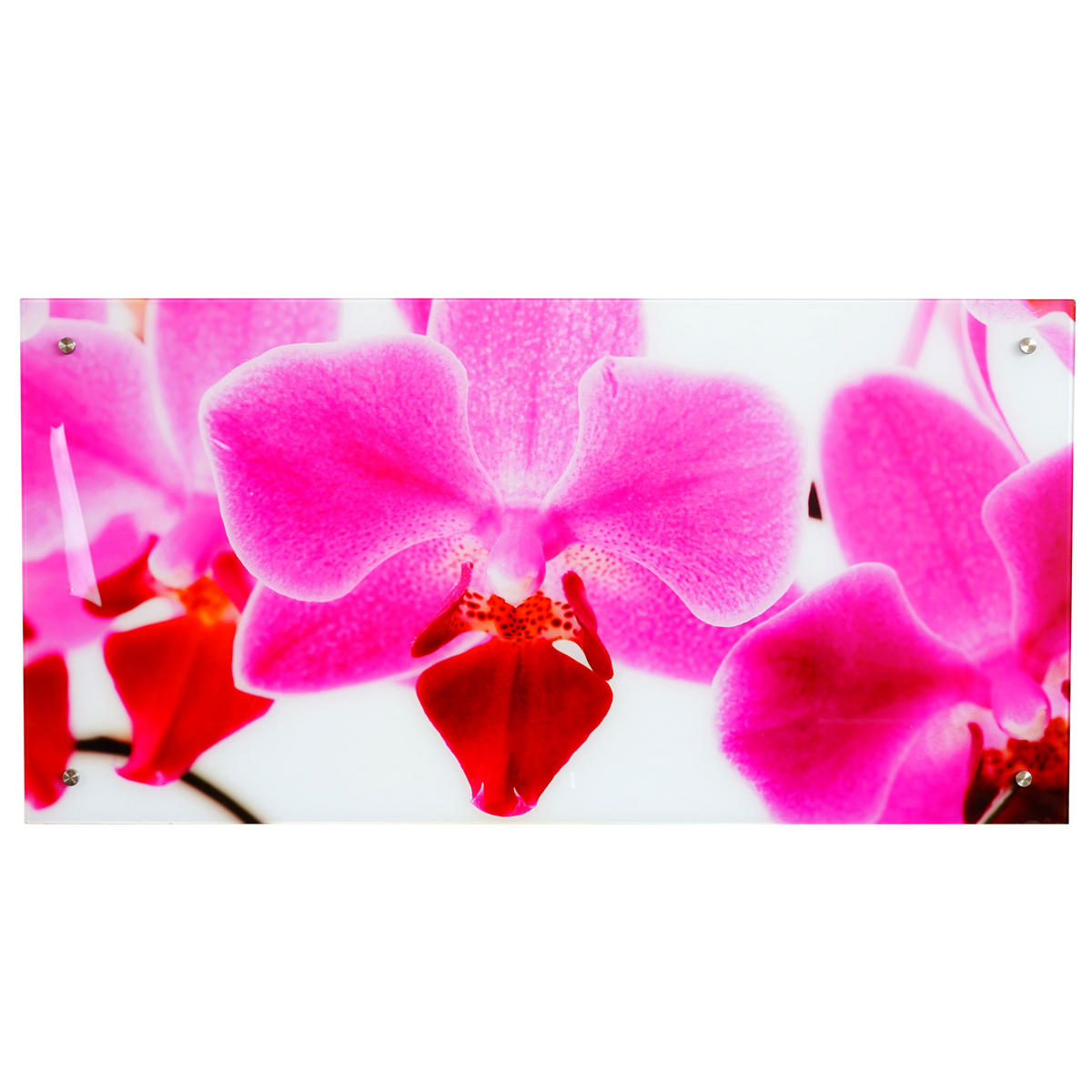 GLASBILD ORCHIDE Multicolor - Multicolor, Glas (100/50cm) - MCW