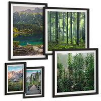 BILDER SET 5er Set - 50x50 cm & 20x30 cm & 40x60 cm Schwarzer Rahmen - Minimalistische Pflanzenzeichnungen - Schwarz, Kunststoff (40/60cm) - TULUP