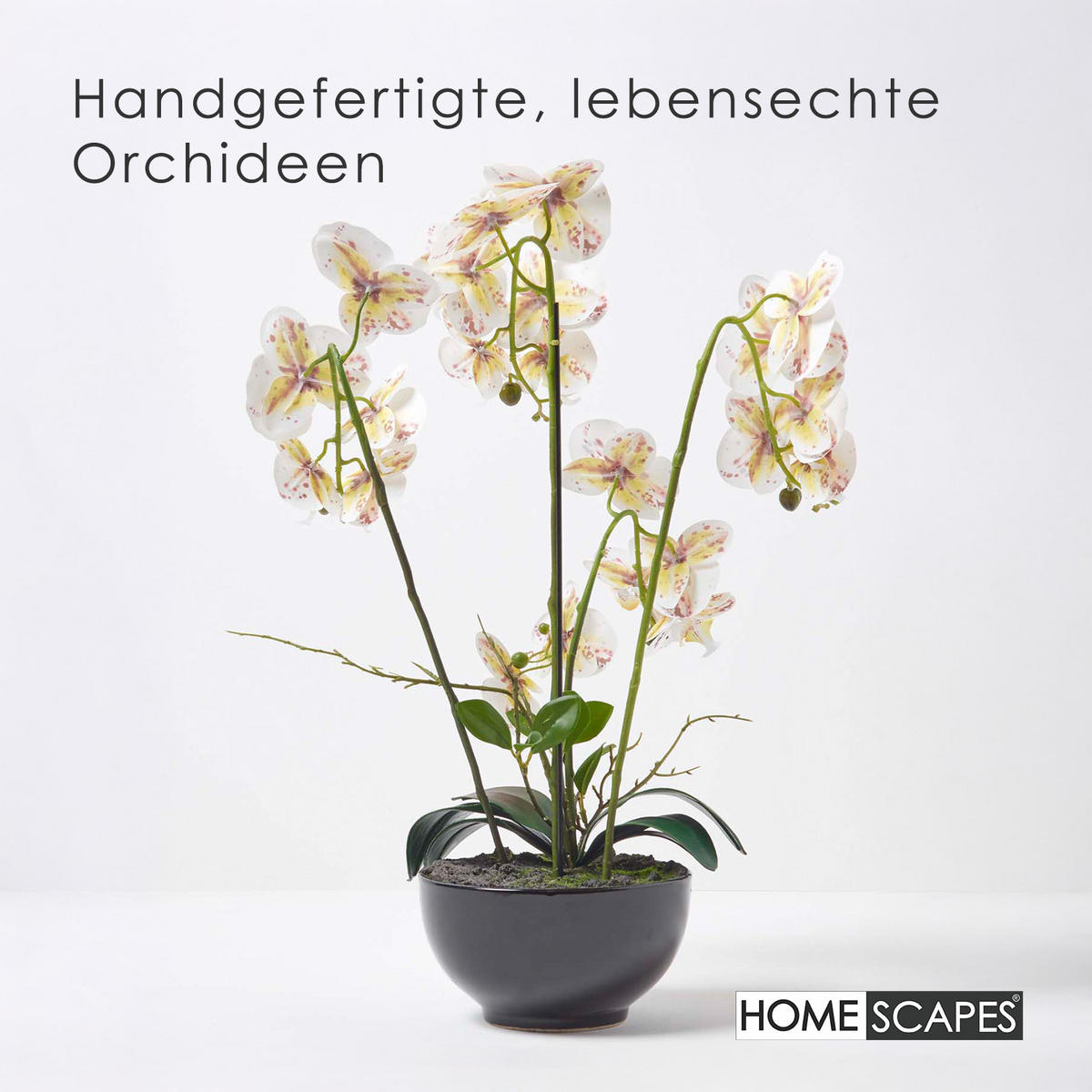 KUNSTBLUME Orchidee weiß-pink in Deko-Schale, 62 cm - Weiß, Kunststoff (62cm) - Homescapes