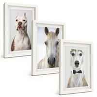 BILDER SET 3er Set - 20x30 cm Weißer Rahmen - Elegante Porträts von Hunden und Pferden - Weiß, Kunststoff (20/30cm) - TULUP