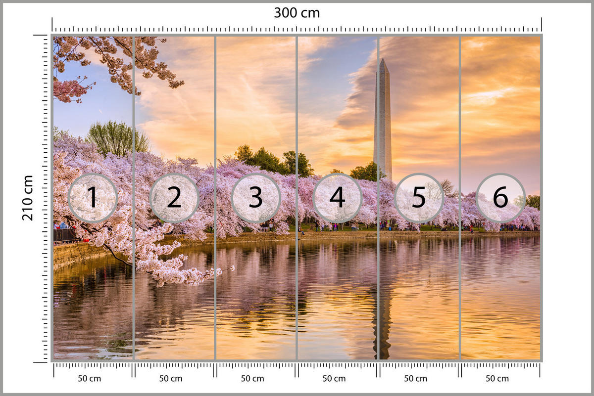 FOTOTAPETE Blühende Kirschbäume Fluss Natur Frühling Sonnenuntergang 300x210 - Blau/Gelb, Papier (300/210cm) - Muralo