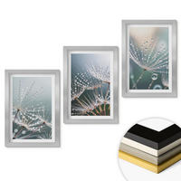 WANDBILDER 3er Set - 20x30 cm Silberner Rahmen - Wassertropfen auf Löwenzahnsprossen - Silberfarben, Kunststoff (20/30cm) - ArtPrintCave