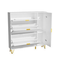 SCHUHSCHRANK im modernen Luxusdesign - Schuhkipper mit 2 Kippfächern und 1 Tür - Weiß und Gold - Weiß, Holzwerkstoff (24/118.5/110cm) - DELFA