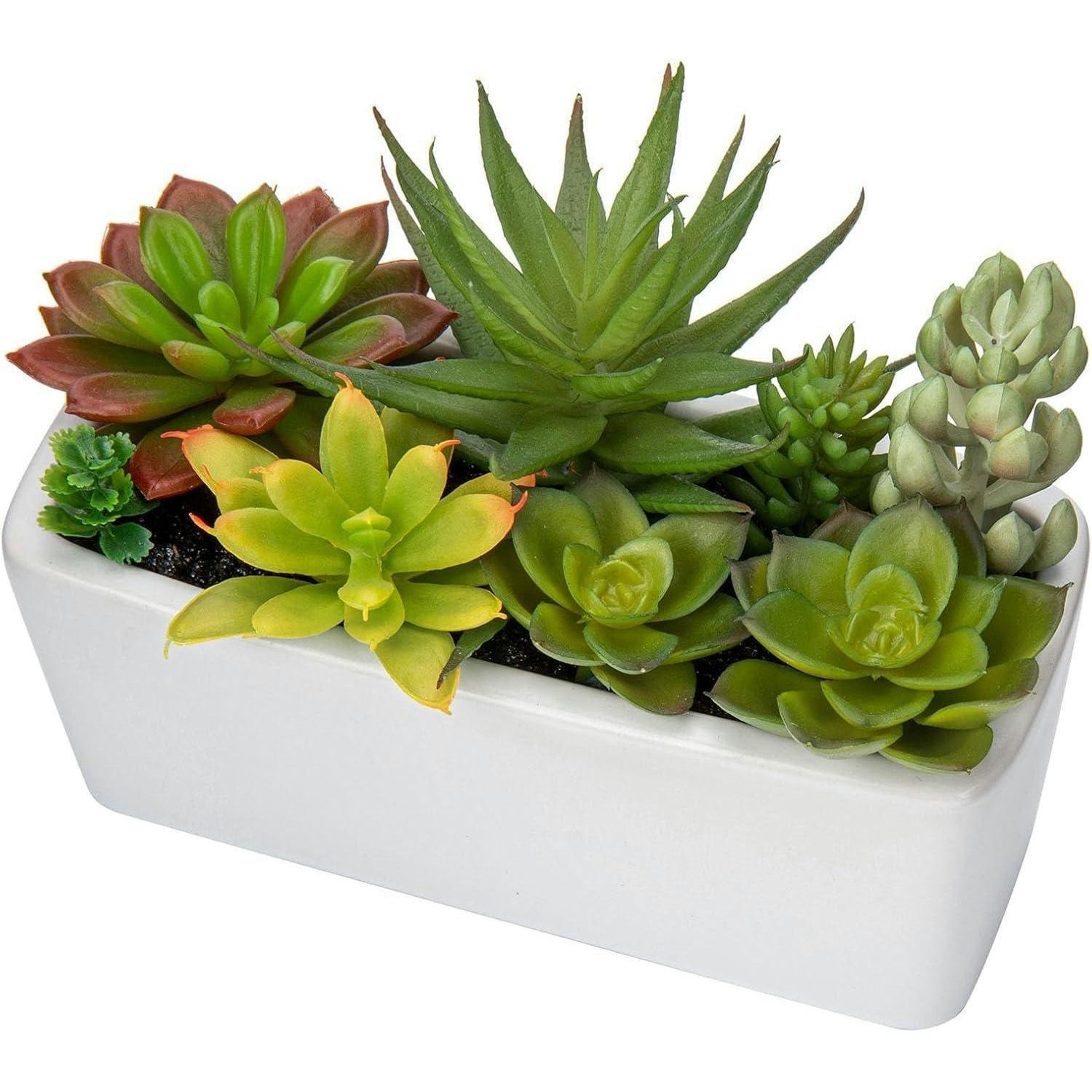 KUNSTPFLANZE Sukkulenten im Keramiktopf Weiß 14 cm - Multicolor, Keramik (16cm)