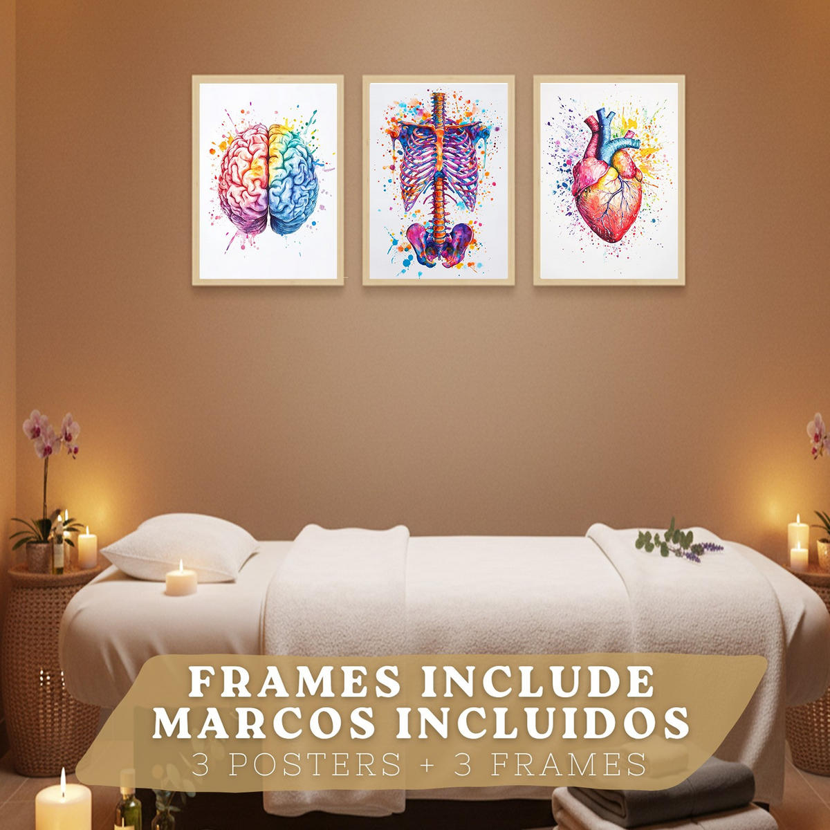 POSTER Set aus 3 Anatomie Mensch Drucke und Wandbilder mit Gehirn Herz Rippen Wirbelsäule Lebendiges Aquarell Design Größe Leichter Holzrahmen A3 - Beige, Papier (29.7/42/3cm) - Nacnic