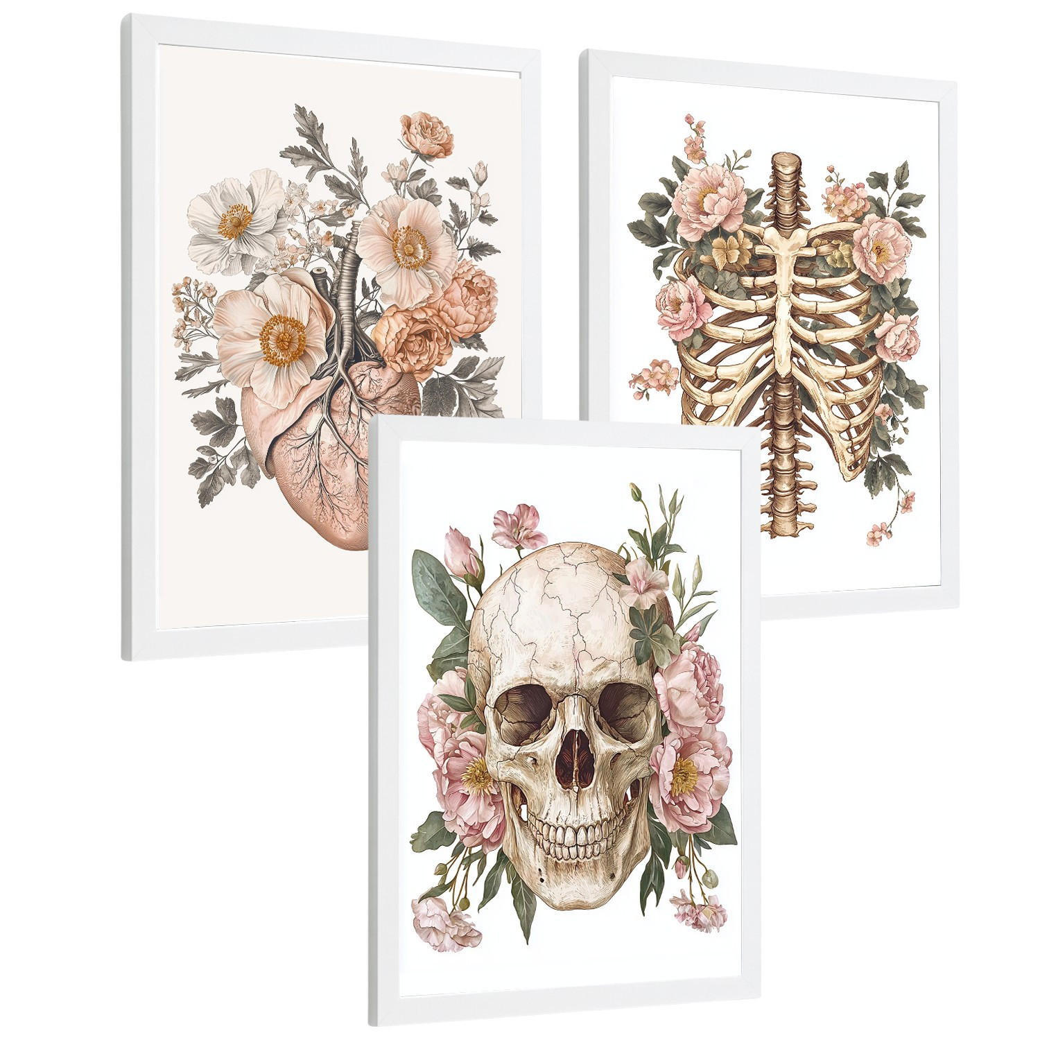 POSTER Set aus 3 Anatomie Mensch Florale Drucke und Wandbilder mit Herz Schädel und Brustkorb Weicher Vintage Stil Größe Weißer Rahmen A4 - Weiß, Papier (21/29.7/3cm) - Nacnic