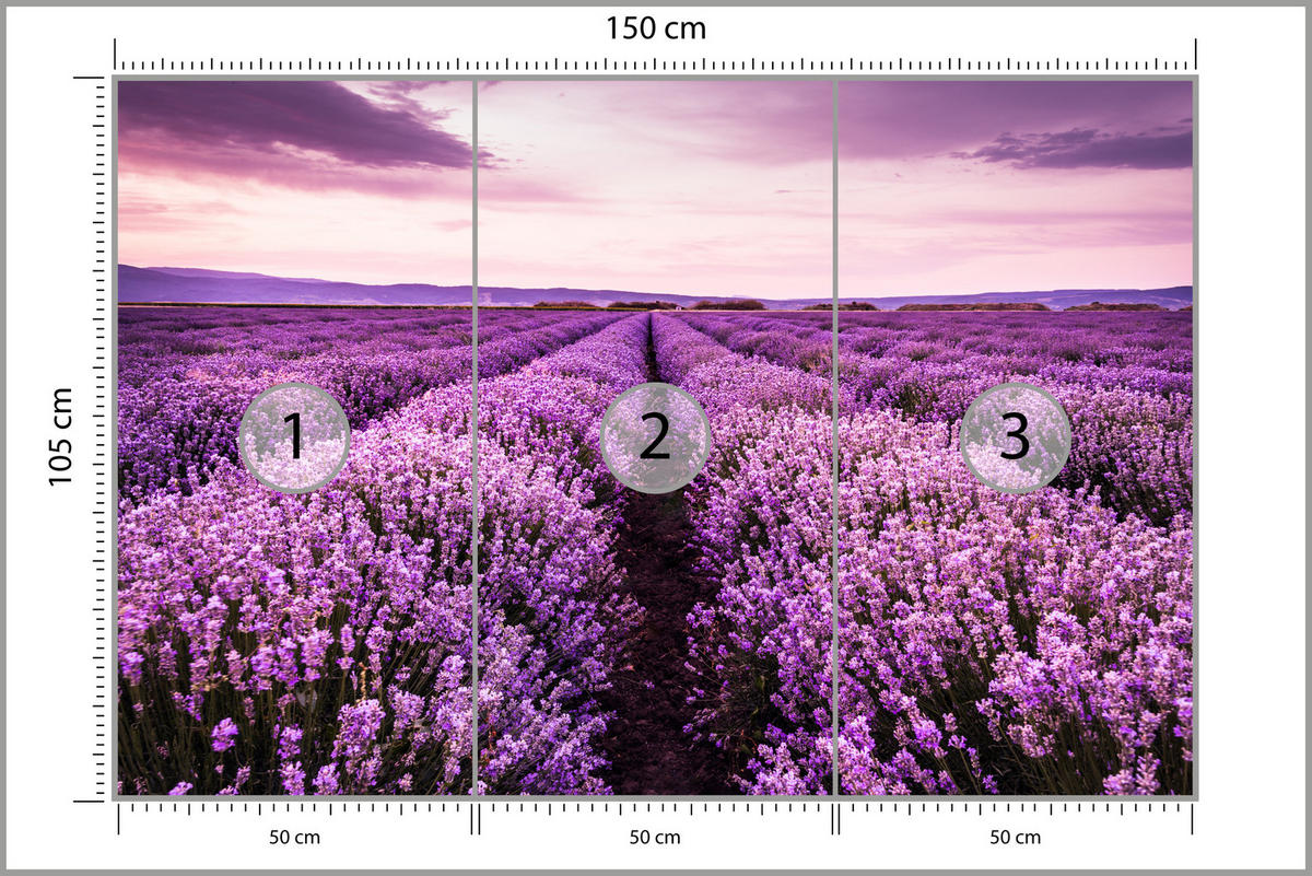 FOTOTAPETE für Schlafzimmer Lila Lavendel Wiese Harmonisch Romantisch 150x105 - Violett/Lila, Papier (150/105cm) - Muralo