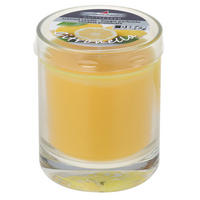 CITRONELLA-KERZE im Glas Gelb 79/65 mm - Gelb, Paraffin (7.9cm) - Steinhart Kerzen