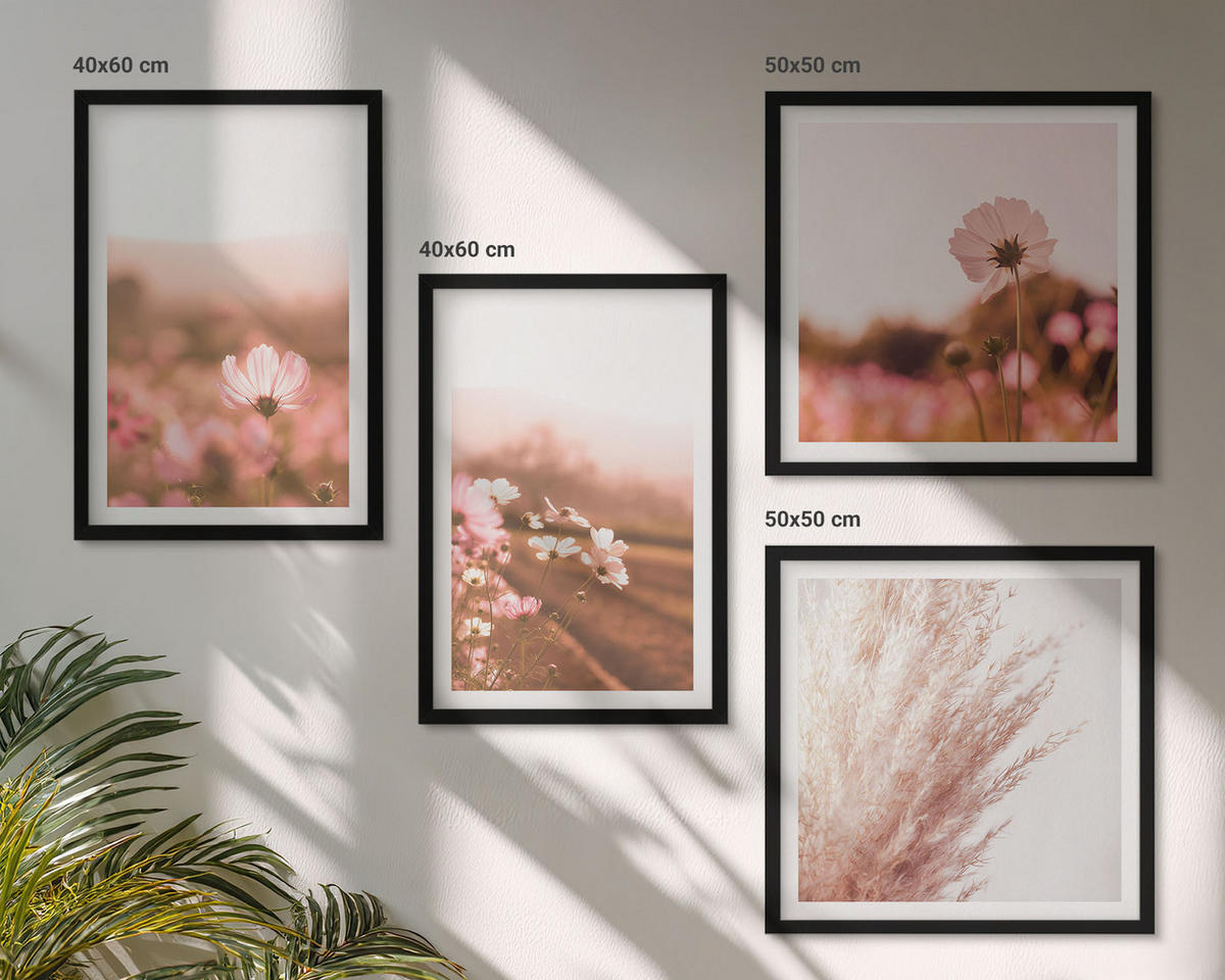 WANDBILDER 4er-Set - 50x50 cm & 40x60 cm Schwarzer Rahmen - Wildblumen auf den Wiesen im Sommer - Schwarz, Kunststoff (50/50cm) - ArtPrintCave