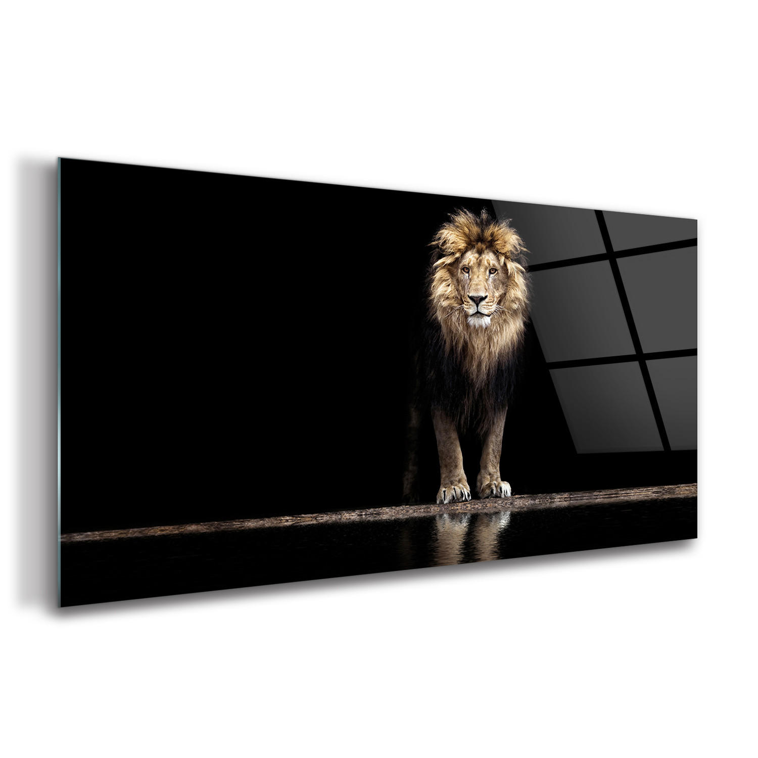 GLASBILD 120x60 cm Wildes Tier - Hellbraun/Schwarz, Glas (120/60cm) - TULUP