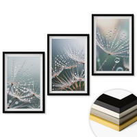 WANDBILDER 3er-Set - 40x60 cm Schwarzer Rahmen - Wassertropfen auf Löwenzahnsprossen - Schwarz, Kunststoff (40/60cm) - ArtPrintCave
