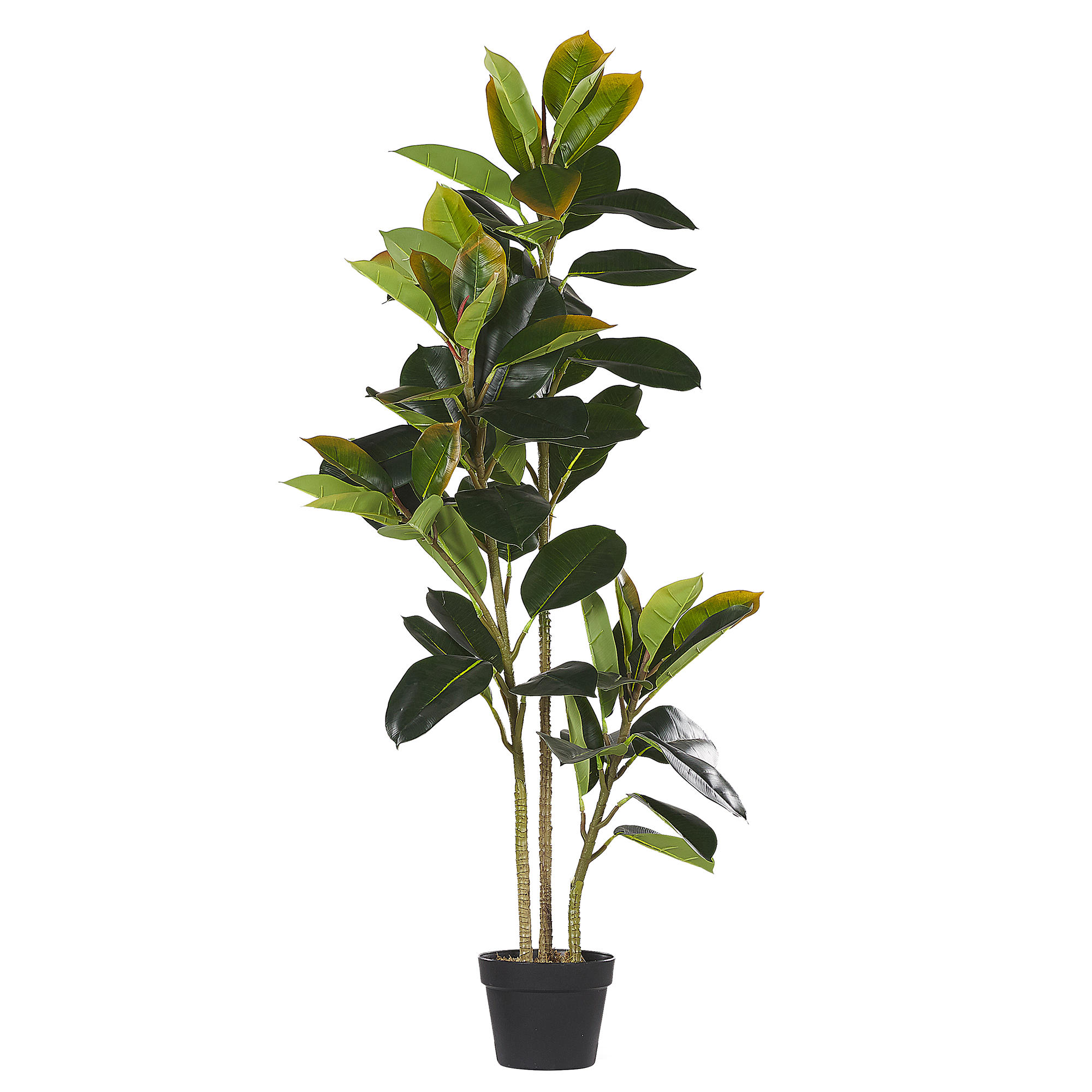KUNSTPFLANZE Grün Ficus Elastica - Schwarz/Grün, Kunststoff (134cm) - Beliani