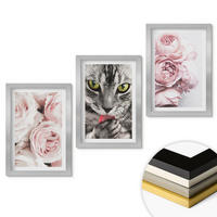 WANDBILDER 3er Set - 20x30 cm Silberner Rahmen - Katze in rosa Blumen - Silberfarben, Kunststoff (20/30cm) - ArtPrintCave