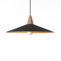 HÄNGELEUCHTE - Goldfarben, Metall (40/40/15cm) - Lumicom