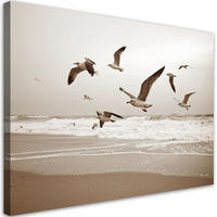 LEINWANDBILD Möwen Vögel Meer Strand Natur 120x80cm - Beige, Textil (120/80cm) - Feeby