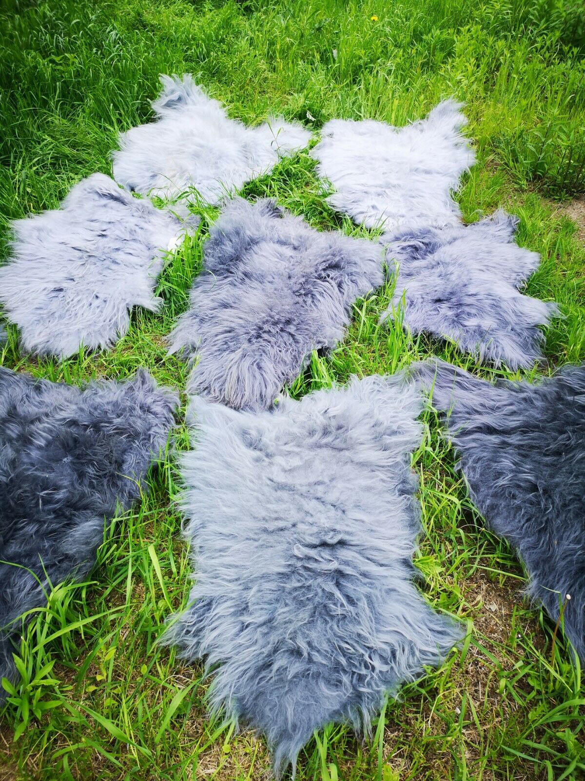 FELL Islandschaffell grau ca. 100 cm - Schwarz/Weiß, Fell (60/100cm) - Provellus