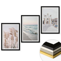 WANDBILDER 3er-Set - 40x60 cm Schwarzer Rahmen - Pflanzen, Meereswellen, Aussicht, Häuser - Schwarz, Kunststoff (40/60cm) - ArtPrintCave