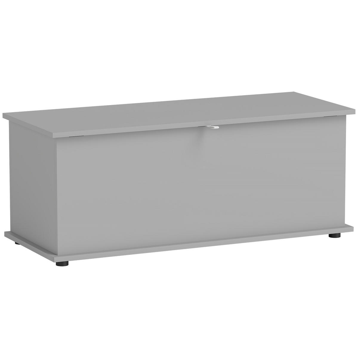 TRUHENBANK Grau 100/40/40 cm - Grau, Holzwerkstoff (40/40/100cm) - PANGIVO