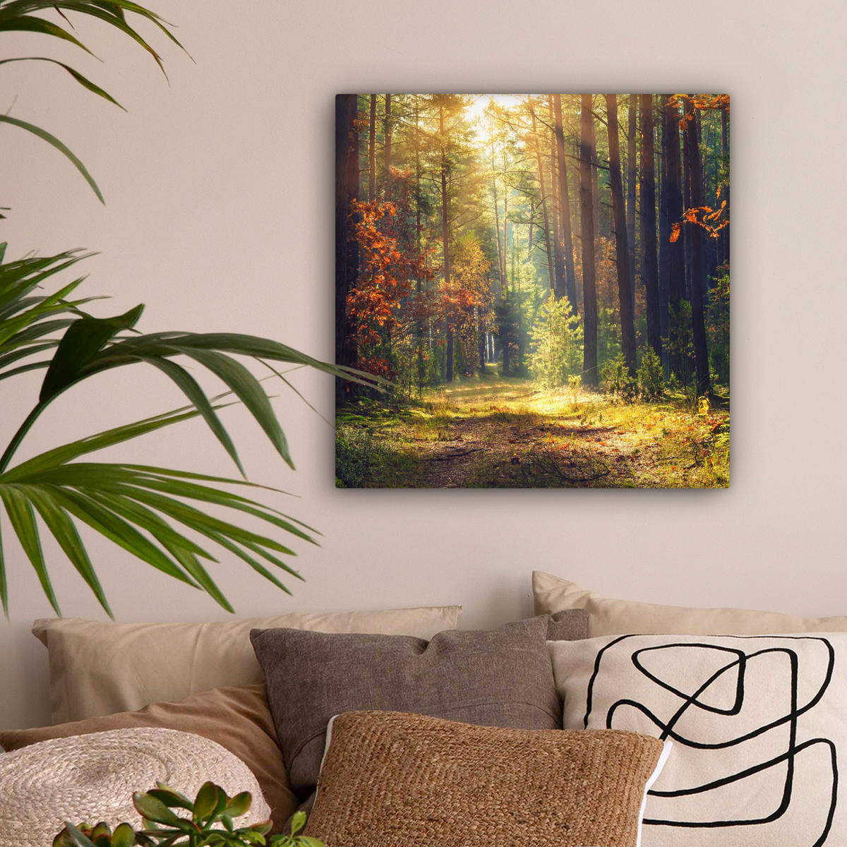 LEINWANDBILD Wald - Herbst - Bäume 50x50 cm - Dunkelgrün, Textil (50/50cm) - MuchoWow