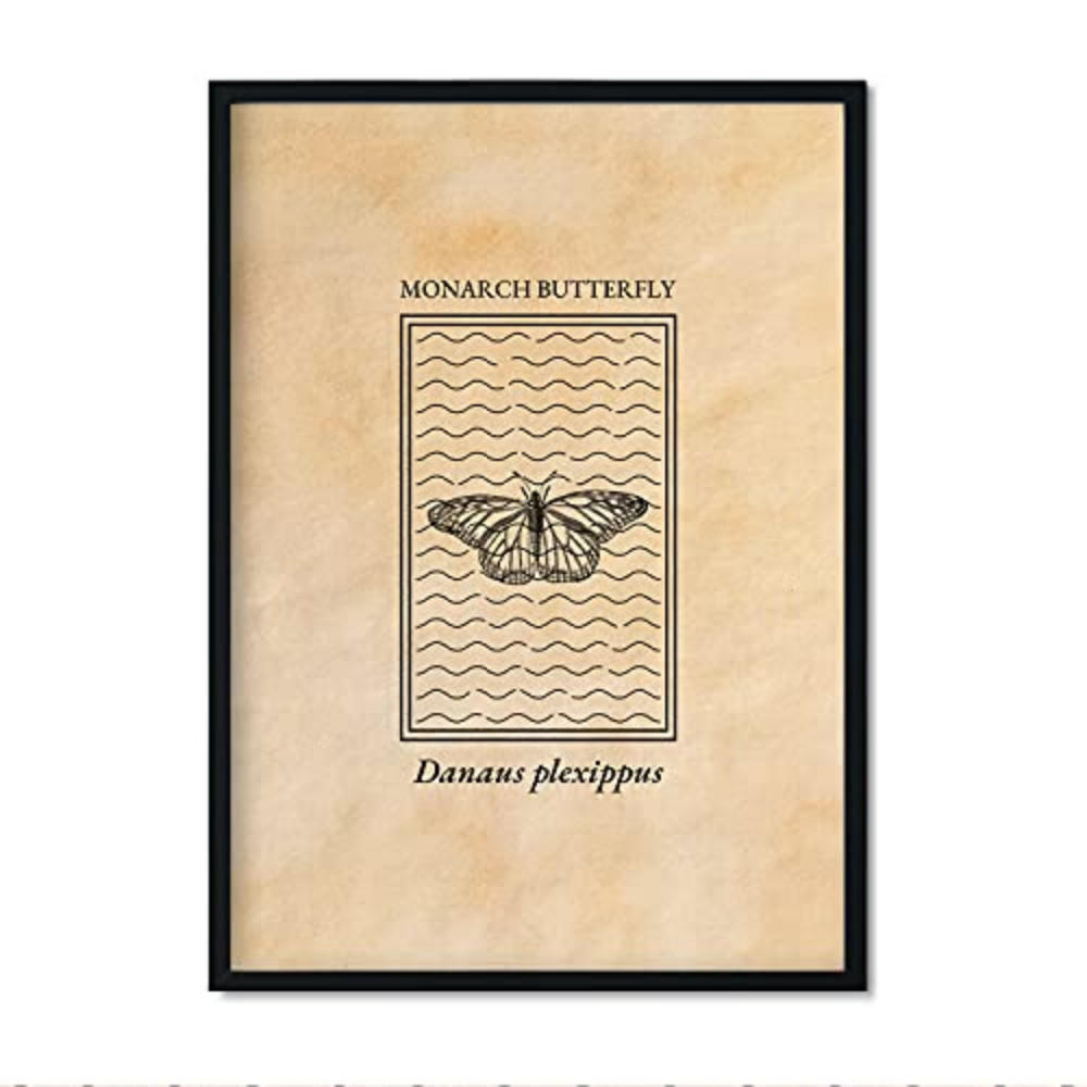 POSTER Insekten Gravur – Butterfly A3 Rahmenlos - Klar, Papier (29.7/5/42cm) - Nacnic