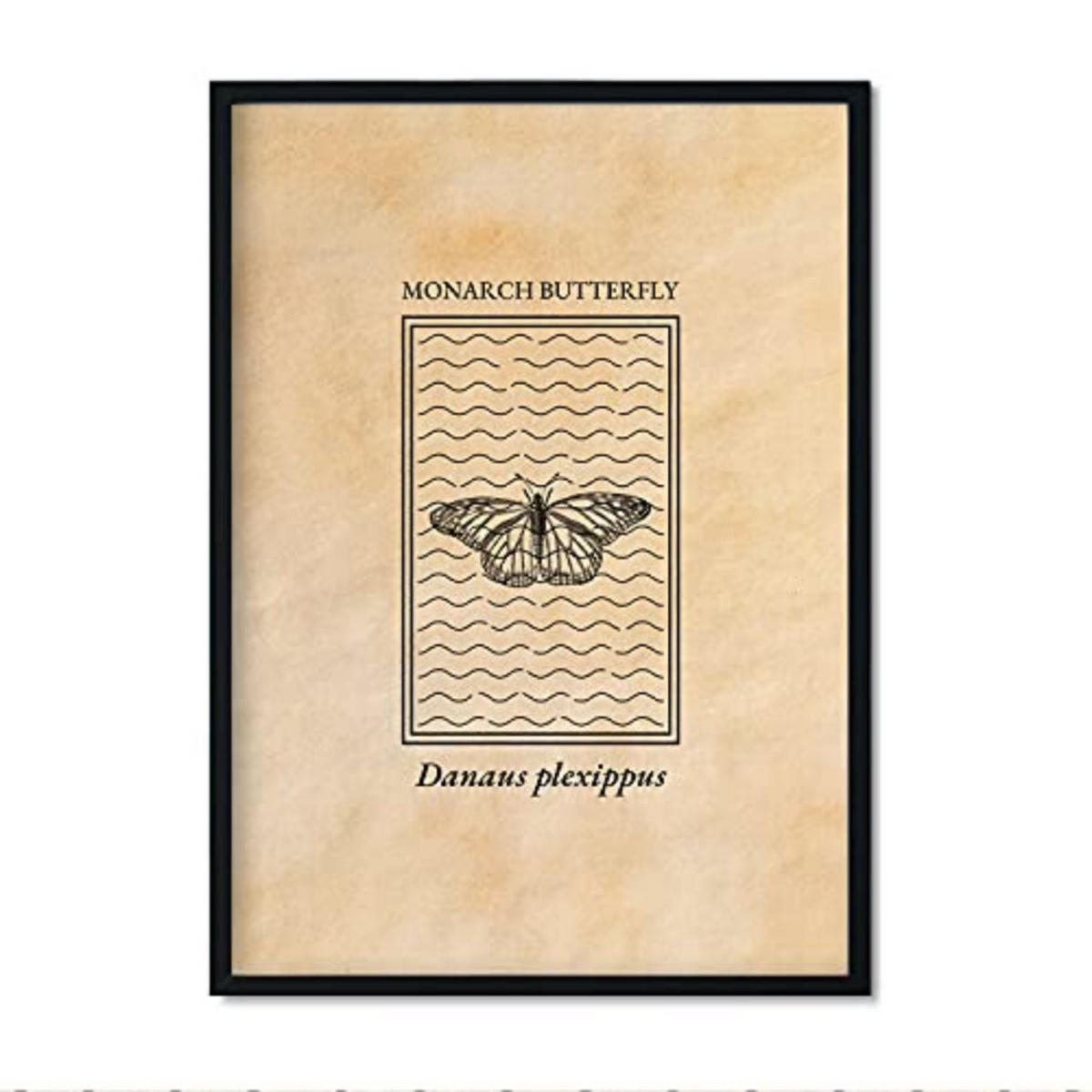 POSTER Insekten Gravur – Butterfly A3 Rahmenlos - Klar, Papier (29.7/5/42cm) - Nacnic